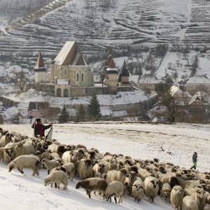 Peisaj de iarna