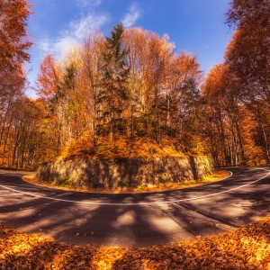 The island of autumn