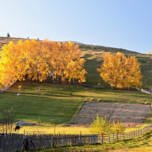 Bucovina toamna