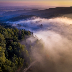 Dimineata in Bucovina