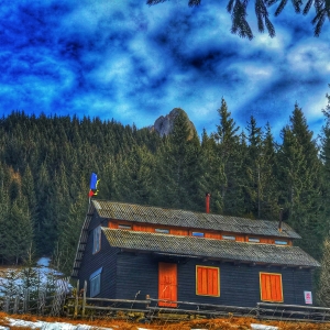 Cabana dintre munți