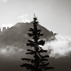 În centrul atenției