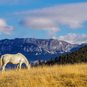 Locul unde timpul sta in loc