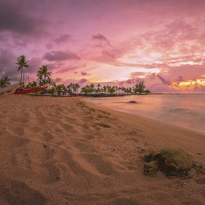 Big Island of Hawaii