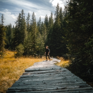 Între-altfel de zgârie-nori, între verzile comori. (Autoportret calatorind prin Bucegi)