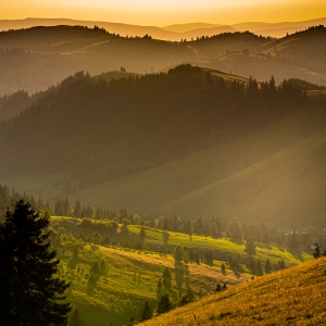 Apus pe dealurile din Harghita