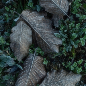 Between life and death