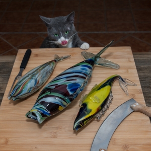 Cats love fish