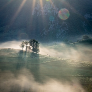 Dimineață perfectă în Apuseni 