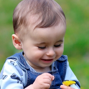 FERICIRE - prima floare vazuta