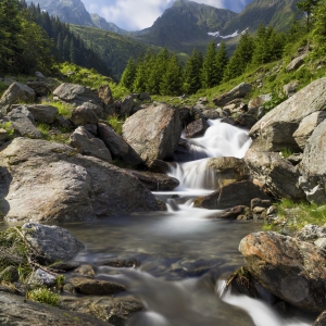 În sufletul naturii