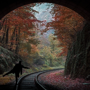 Iubirea fata de natura