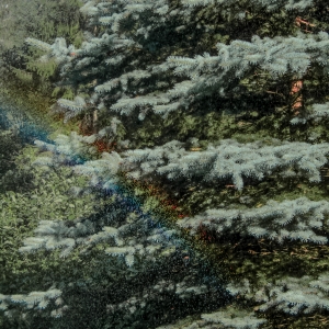 Poti realiza si tu un curcubeu