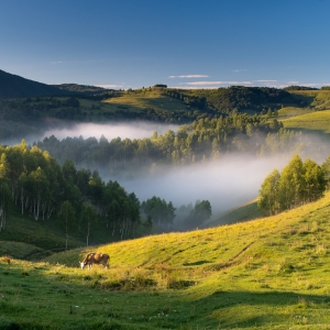 Răsărit în Dumești