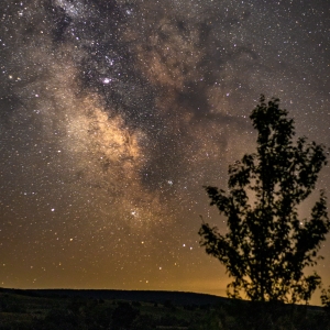 Universe Exploration