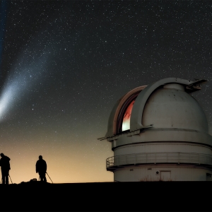 Vânători vânați.