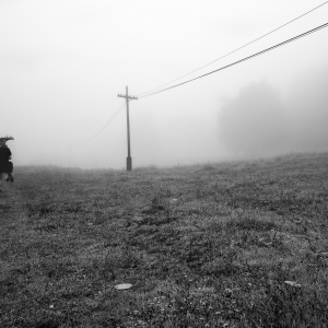 2020 - Running into the unknown