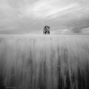 De la grau la moara doar un singur pas