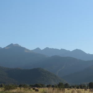 O particica din muntii Fagaras
