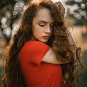 Red fox in the shade 