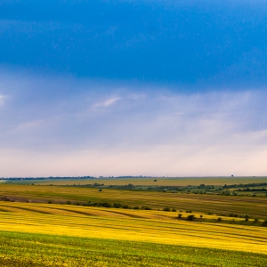 Fields of almost gold