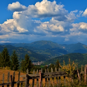 mâinile mele vor doar să bea bere