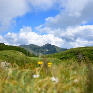 Muntii Fagaras