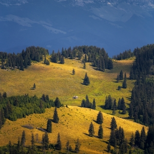 Vedere din Piatra Craiului