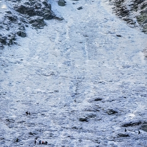 Tricolorul la înălțime de 1 decembrie