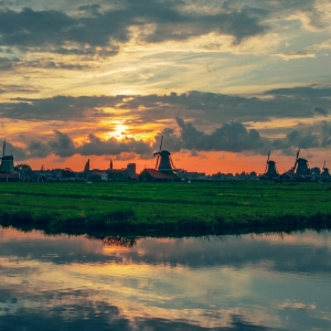 Apus in Zaanse Schans, Olanda