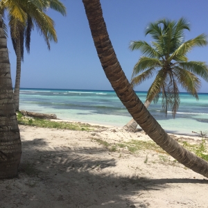 Saona Island